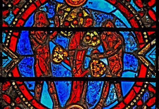 Stained Glass Window, Auxerre Cathedral
