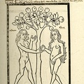 Compilatio Historiarum, fol. 24v, apples but also breasts