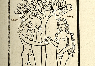 Compilatio Historiarum, fol. 24v, apples but also breasts